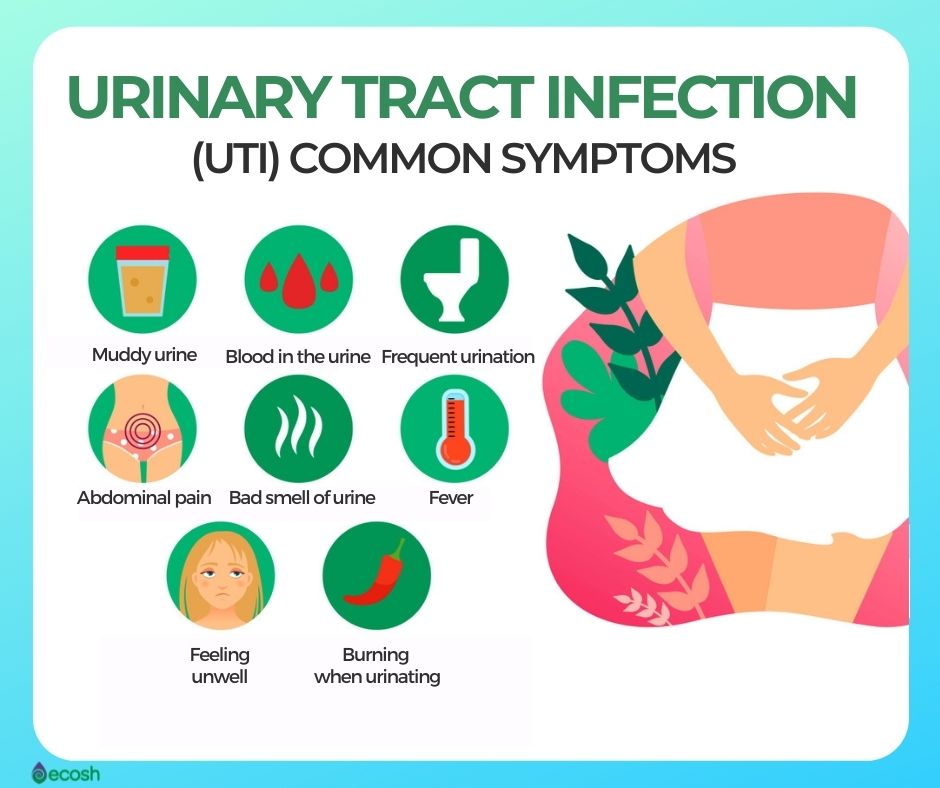 Uti Symptoms In Women