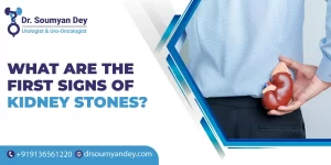 What are the First Signs of Kidney Stones?
