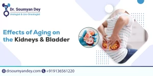 Effects of Aging on the Kidneys and Bladder
