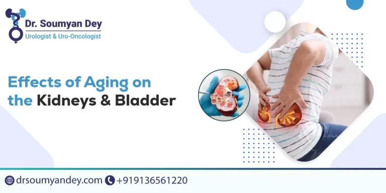aging-of-the-kidneys-and-bladder