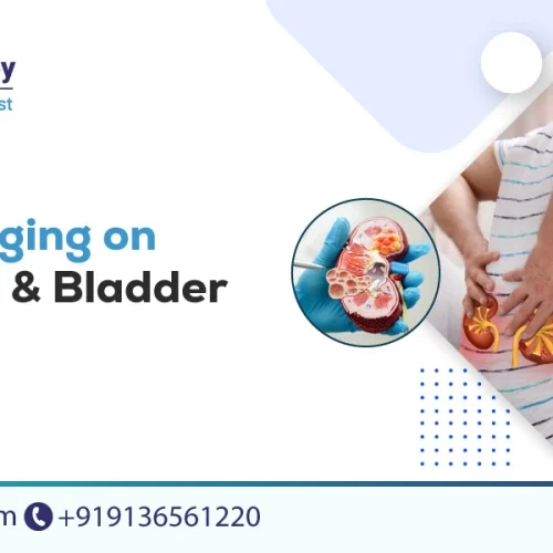 aging of the kidneys and bladder