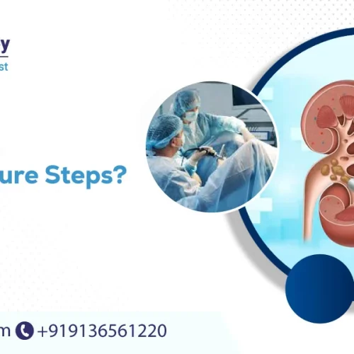 pcnl procedure steps