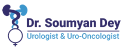 Dr. Soumyan Dey